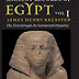 Ancient Records of Egypt: The First Through the Seventeenth Dynasties, Vol. 1 by James Henry Breasted