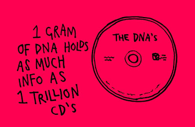 dna information capacity