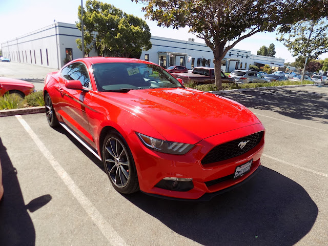 2017 Ford Mustang- After repairs done at Almost Everything Autobody