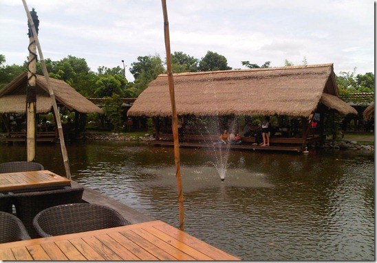 IMG01182-20111231-1406