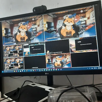 MONITOR OBS MULTIVIEW