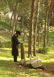 Breslov Hasid praying in the woods