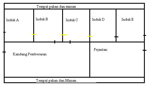 usaha ternak yang menjanjikan di masa depan