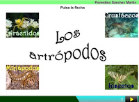 http://cplosangeles.juntaextremadura.net/web/edilim/curso_3/cmedio/animales_invertebrados_3/artropodos/artropodos.html