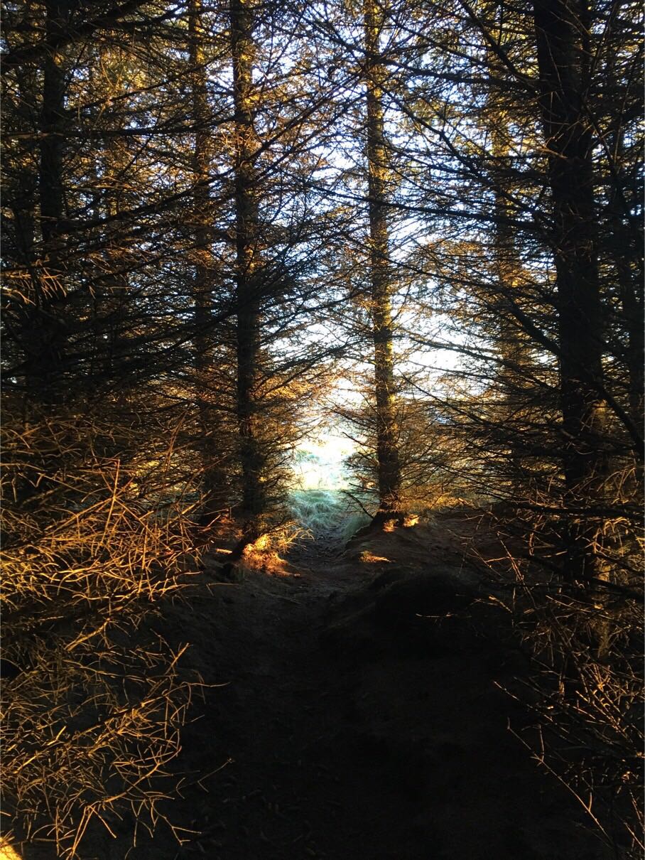 BloggerImage