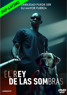EL REY DE LAS SOMBRAS – IN IS SHADOW – DVD-5 – DUAL LATINO – 2023 – (VIP)