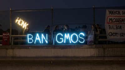 HONK - BAN GMO's Overpass Light Brigade