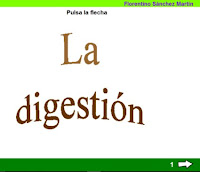 http://cplosangeles.juntaextremadura.net/web/edilim/tercer_ciclo/cmedio/las_funciones_vitales/la_funcion_de_nutricion/digestion/la_digestion/la_digestion.html