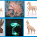 Animal MDF laser cutting, Antelope, Frog, Horse, Skeleton, Dragonfly, Wolf and Seahorses, Router, Laser Cutting