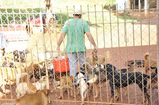 Canil de Iracemápolis: projeto permitirá apadrinhamento de animais - See more at: http://www.gazetainfo.com.br/ns/noticia.php?titulo=Comit-permite-a-iracemapolense-apadrinhar-animais-no-canil-?r=noticias&id=35126#sthash.yugj7cjX.dpuf