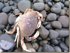 aberdeen_to_forks_wa_ 005