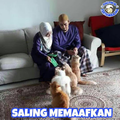 8 Meme 'Tingkah Lucu Kucing' yang Kelakuannya Ngegemesin Banget