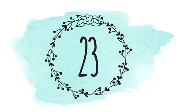 Porta 23