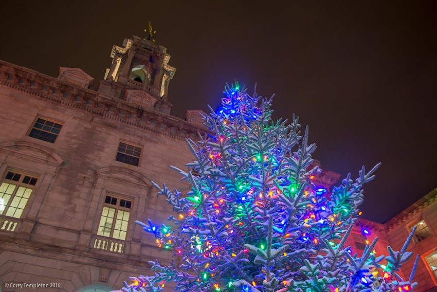 Portland, Maine USA December 2016 photo by Corey Templeton. The Christmas Tree in front of Portland City Hall was looking festive earlier this week after a dusting of snow.