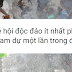 Lễ hội độc đáo trên thế giới ít nhất phải tham dự một lần trong đời