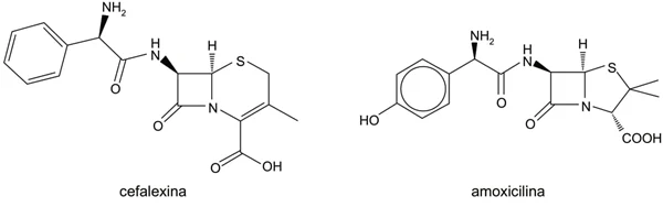 As fórmulas representam as estruturas dos antibióticos cefalexina e amoxicilina