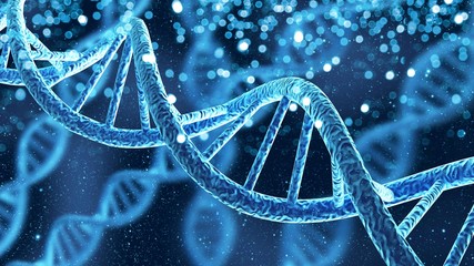 DNA antigo traz revelações sobre nossa evolução ao ser inserido em camundongos