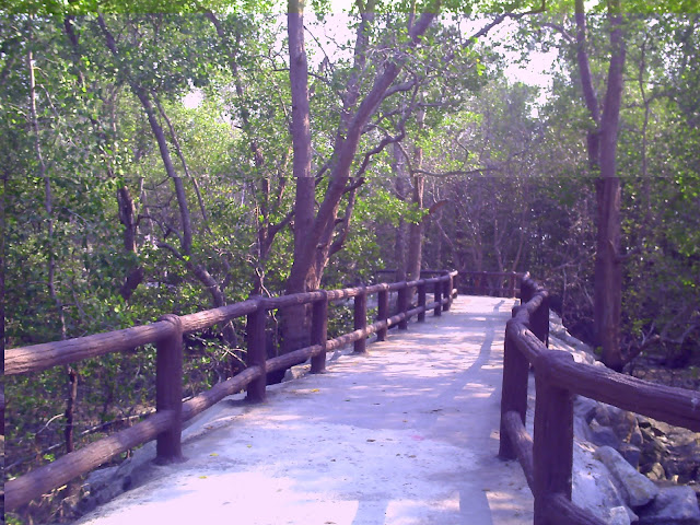 Sekitar Taman Monyet Pasir Panjang Laut