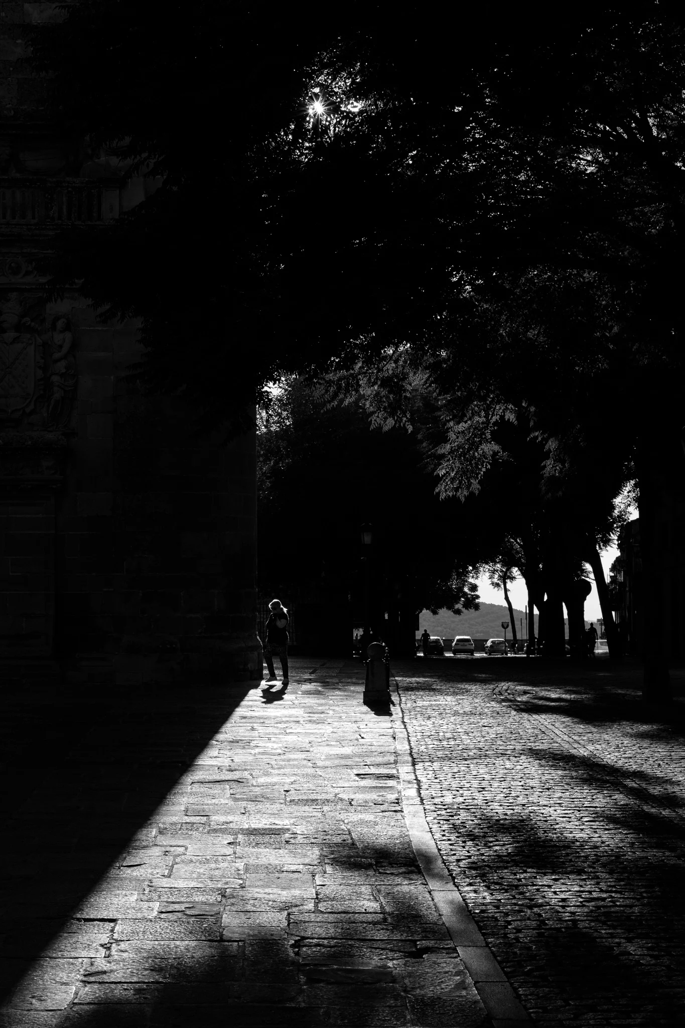 Antonio José Muro | 221/365 | Buscando la sombra