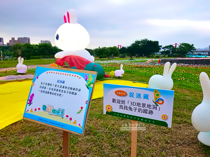 板橋蝴蝶公園,地景花海光雕,板橋景點,河濱蝶戀季