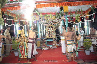 Parthasarathy Perumal, Theppa Utsavam, Theppam, Seriya Ther, Maasi, Trplicane,  Purappadu, Thiruvallikeni, Utsavam, 