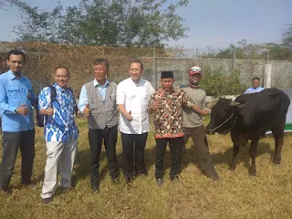 Cirebon Power Salurkan Enam Puluh Hewan Qurban Untuk Tiga Kecamatan Di Kabupaten Cirebon