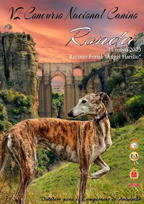 Carreras de galgos en Ronda