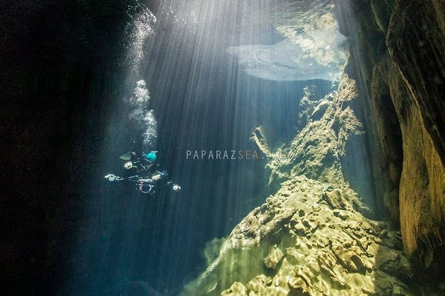 Scuba Diving, Underwater Photography, PADI, Learn Scuba, We Dive Manila, PaparazSea