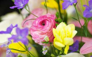 flower-arrangement_wallpaper