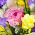 High Quality Flower Arrangement Free Desktop Download Pictures Collection