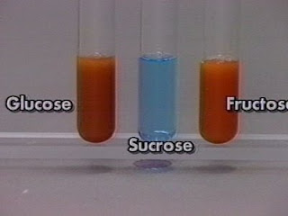 Komik Kimia Klinik pemeriksaan glukosa urine