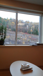 View from hospital MRI waiting room. Beautiful trees in fall colours