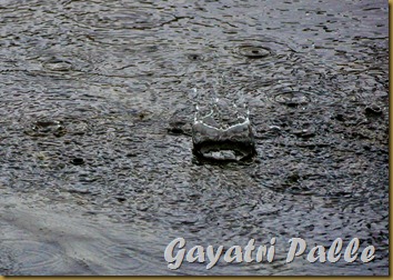 edited_DSC_3647