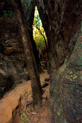 At the outskirts of Panchmarhi, a quaint hill station in Madhya Pradesh, you can find huge rocks that hide big and small caves. This place is commonly known as Reechch Garh and local folk tales associate it with Jamwanth, the legendary reechch who joined forces with Lord Ram against Ravan.In recent past, it is supposed to have been the home of many wild animals, including black bear. There are two main caves. One is gigantic and the other so narrow that you almost need to crawl through it.,Reechch Garh, Reech, Reechch, Caves, Madhya Pradesh,  Panchmarhi,  Rocks,  Boulders