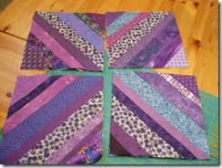 030209 strips