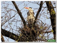 20140331_154620_136_JiaFu