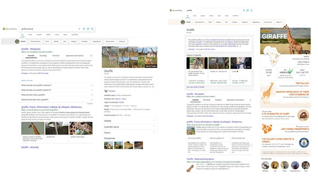 SERp infographics: Microsoft Bing Launched 5 Upgrades to Search Results: eAskme