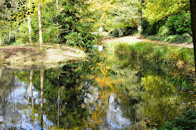Stowe, day trip, visit, colours, Autumn, trees, nature, orange, yellow, conkers, sunny day, traditional, activity, UK, England, blue sky, elm, oak, chestnut, stream, lake, reflection