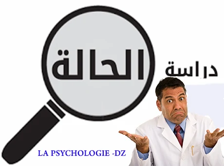 الدراسة الحالة 