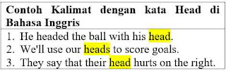 23 Contoh Kalimat Head di Bahasa Inggris dan Pengertiannya