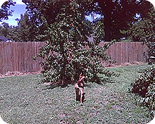 Photo06131325_1