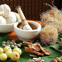 Obat Penyakit Herpes Alami