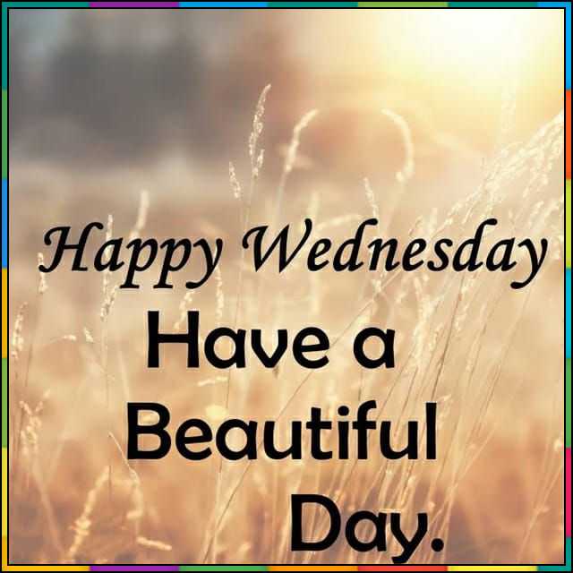 good morning happy wednesday have a great day
