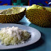 Berburu Durian ‘Katan’ di Padang