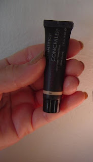 Amazing Cosmetics Concealer.jpeg