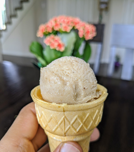 Homemade Ice Cream