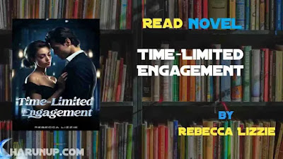 Time-Limited Engagement Novel