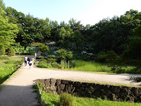 山田池公園のあじさい園