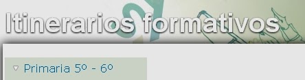  ITINERARIOS FORMATIVOS