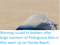 https://sciencythoughts.blogspot.com/2018/02/warning-issued-to-bathers-after-large.html